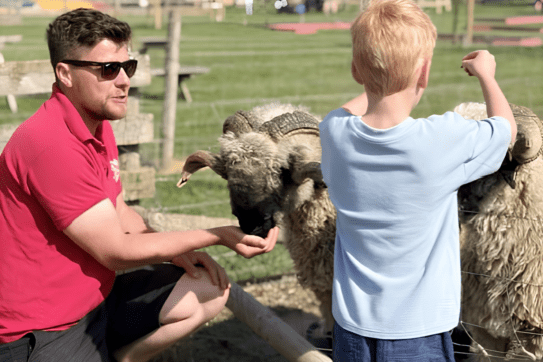  Evening feed round at Rand Farm Park