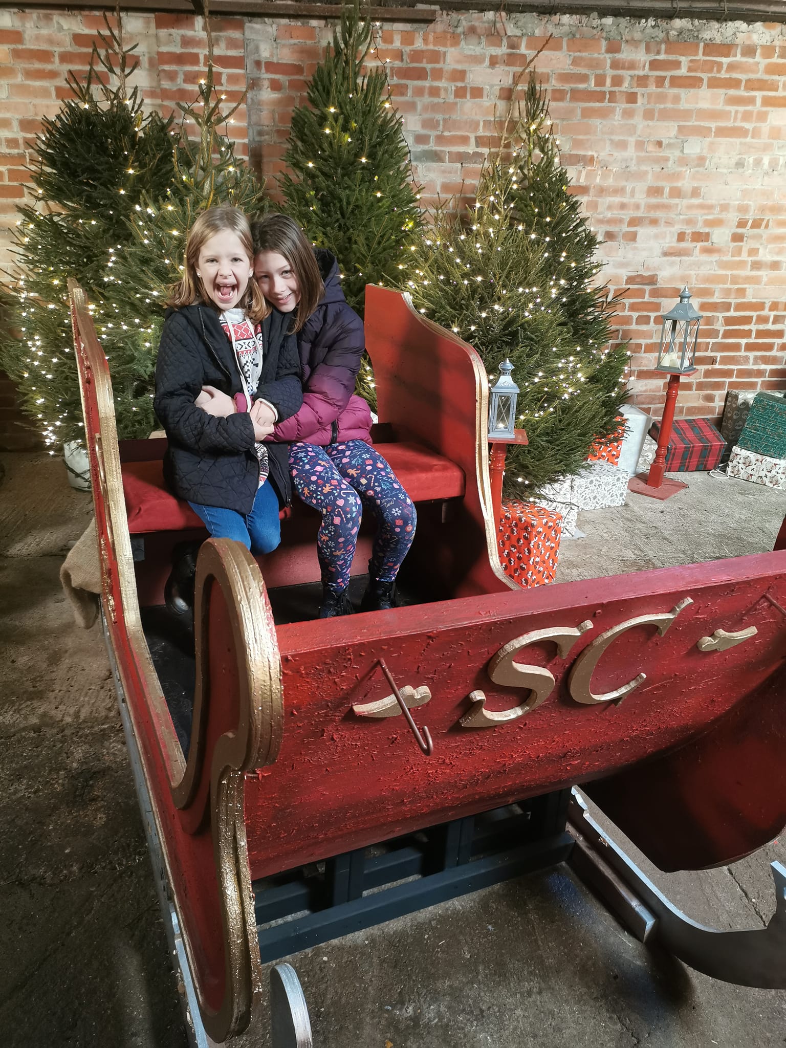 The Real Christmas Experience at Rand Farm Park