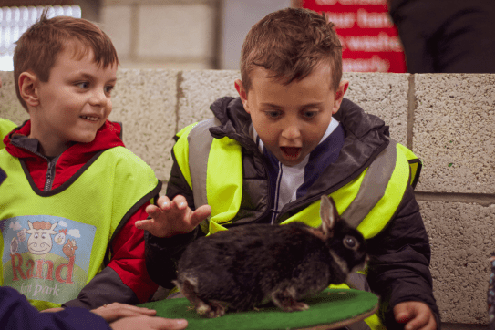  Kids Club child handling a rabbit