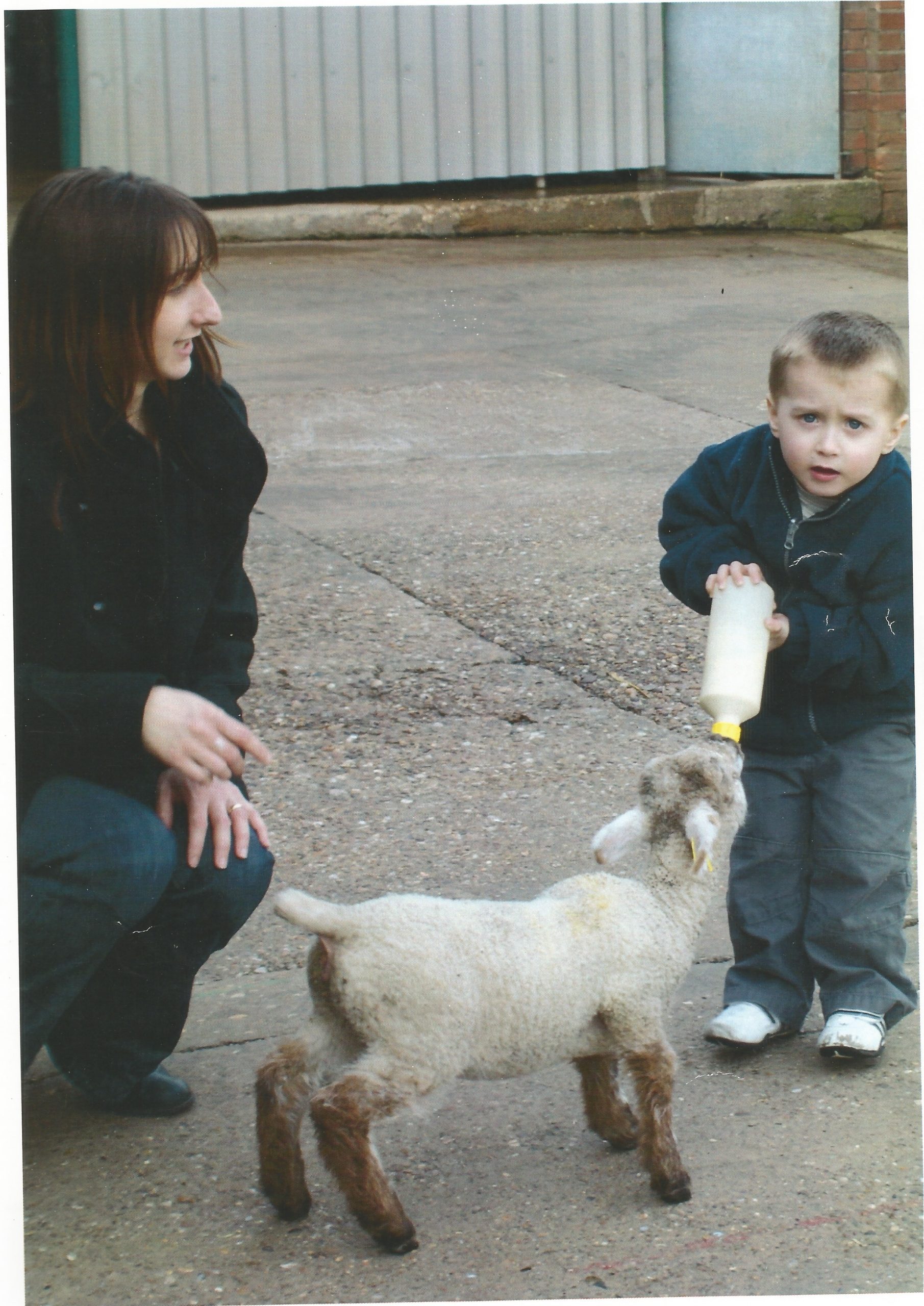 Bottle feeding a lamb in 2000